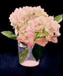 111, White Hydrangea on Blue, 12 x 10 2008 wc. Not available.