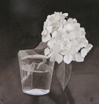 57, White Hydrangea #5, 10 x 9 1/2 2005 wc. Please inquire.