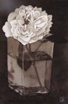 59, Rose in Square Glass, 10x 6 2005 wc. Not available.